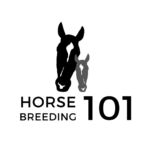 Horse Breeding 101